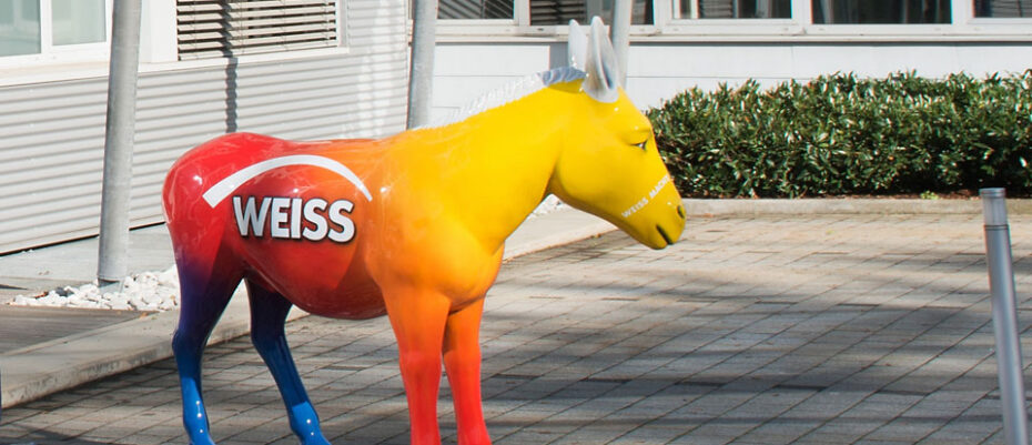 Bild zum Artikel: Weiss-Druck gratuliert uns zum 20. Jubiläum