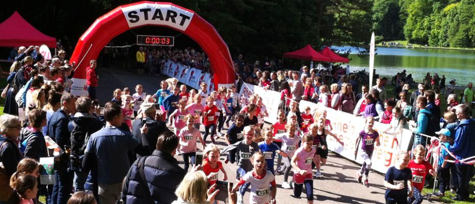 Bild zum Artikel: Waldlauf der Kölner Schulen am 12. Mai